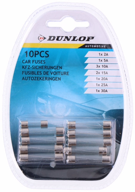 FUSIBLE DUNLOP VIDRIO 10 UDS